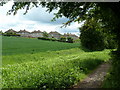 Footpath near Mastin Moor