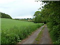 Track towards Commonside Farm