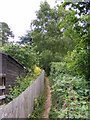 TM3050 : Footpath to the Byway to the A1152 Eyke Road & Church Lane by Geographer
