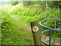 Footpath to Anstey Lane