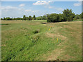 Stream crossing Nazeing Golf Course