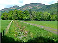 Fence, ditch and track on Dunira Estate, Comrie