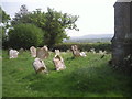 View from Warminghurst Churchyard