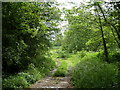 Start of footpath by Redleadmill Brook