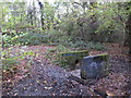 Drain feeding the Kyd Brook - Main Branch, in Roundabout Wood