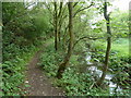 Footpath by the River Rother