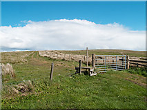 NT6906 : Path and fence line at Carter Bar by Trevor Littlewood