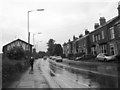 Beverley Road - from Level Crossing