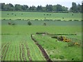 Farmland, Annfield