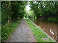 Part of the canal towpath near Llangynidr