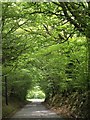 Approaching Knowstone Cross