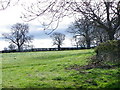 Bridleway near Aldbrough St John