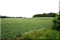 Near East Stratton, Hampshire