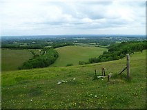 TQ2913 : Wellcombe Bottom seen from bridleway to the south by Shazz