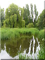 Flood Meadows, Alton