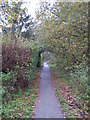 Footpath west of Broadcroft Road, BR5 (2)