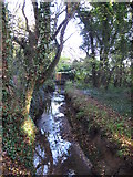 TQ4466 : The Kyd Brook - East Branch, on Gumping Common by Mike Quinn