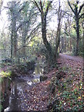 TQ4466 : The Kyd Brook - East Branch, on Gumping Common (2) by Mike Quinn