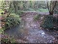 The Kyd Brook - East Branch, on Gumping Common (6)