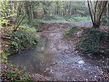 TQ4466 : The Kyd Brook - East Branch, on Gumping Common (6) by Mike Quinn