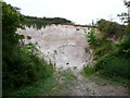 Chalk Pit near Home Eweleaze