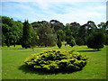 The Pinetum at Pine Lodge Gardens