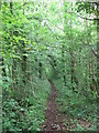 Path on course of former railway line, Rhiwsaeson