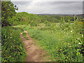 Path at Lowes Hill