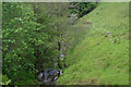 The Nant Gynwydd near Bwlch-y-garreg farm