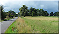 Country road, Bolam