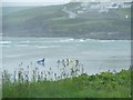 W4038 : Surfers at Inchydoney - Inchydoney Island Townland by Mac McCarron