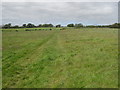 Footpath North of Ribchester