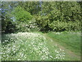 Path on Putney Heath