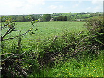 SD6338 : Knowle Green from footpath to south-east by marplerambler