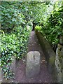 Footbridge at Beck Foot Mill, Cottingley