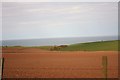 Red soil of the Mearns