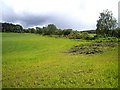 Field on the south side of Wicebe Road