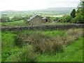 Rough pasture near Dale House