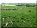 Longridge Fell from Hodder Valley