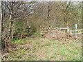 Footpath near Battersby