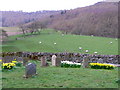 Churchyard, St Cuthbert