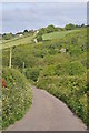 The view across a wooded valley towards Bickleton