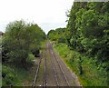 Lines to Bredbury Waste