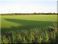 View towards Stainforth Moor Road