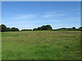 TQ5408 : Barn Piece/Sessingham Meadow by Simon Carey