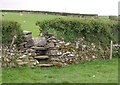 Stile near Trewinte