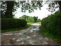 SO3687 : The entrance to Totterton Hall by Ian S