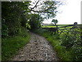 Track from Shallcross Hall Farm