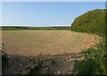 Arable field, Tolraggott Farm