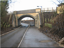 TL4454 : Old railway bridge by Mr Ignavy